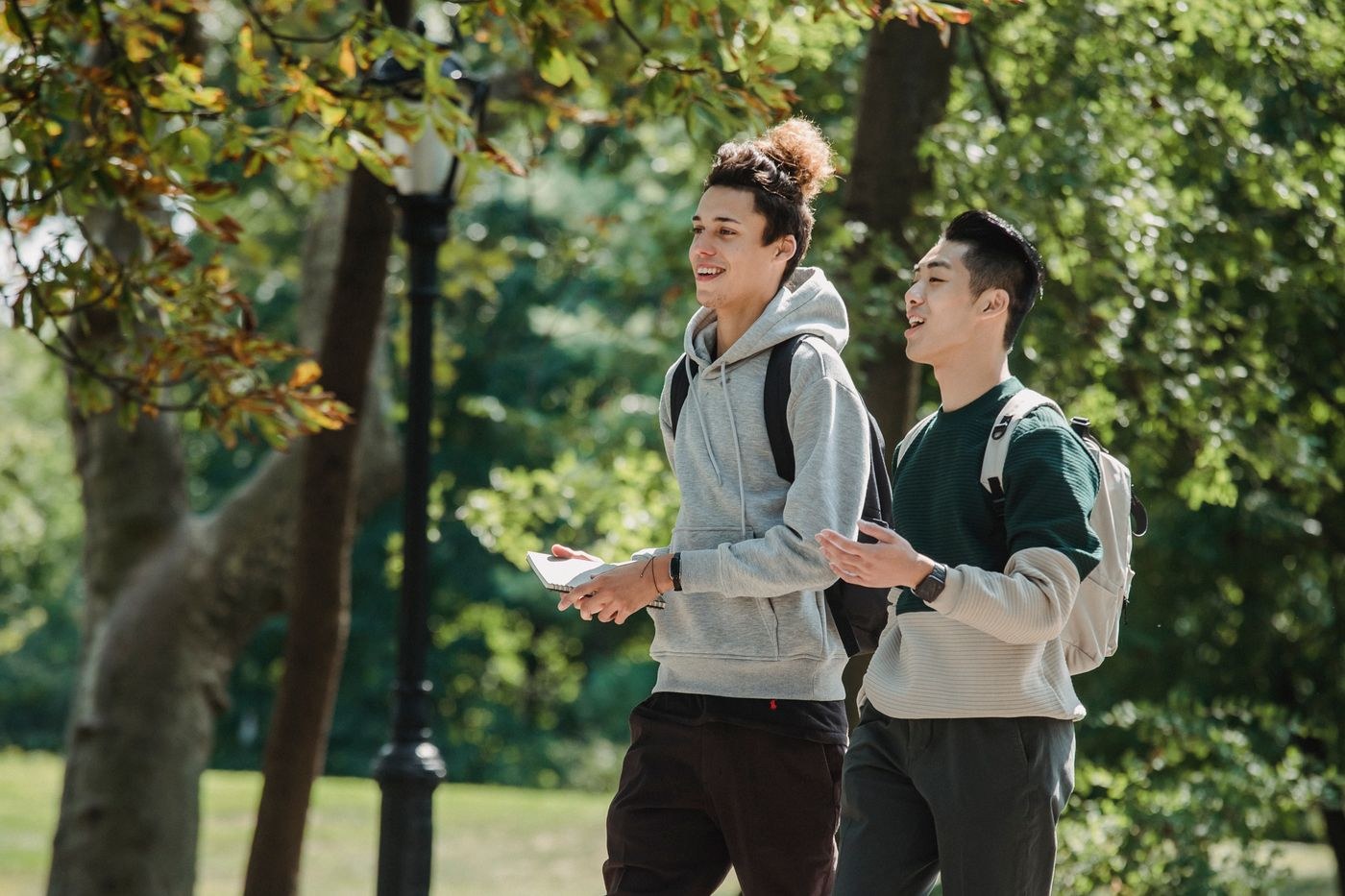 Two people walking side by side and talking in a park.