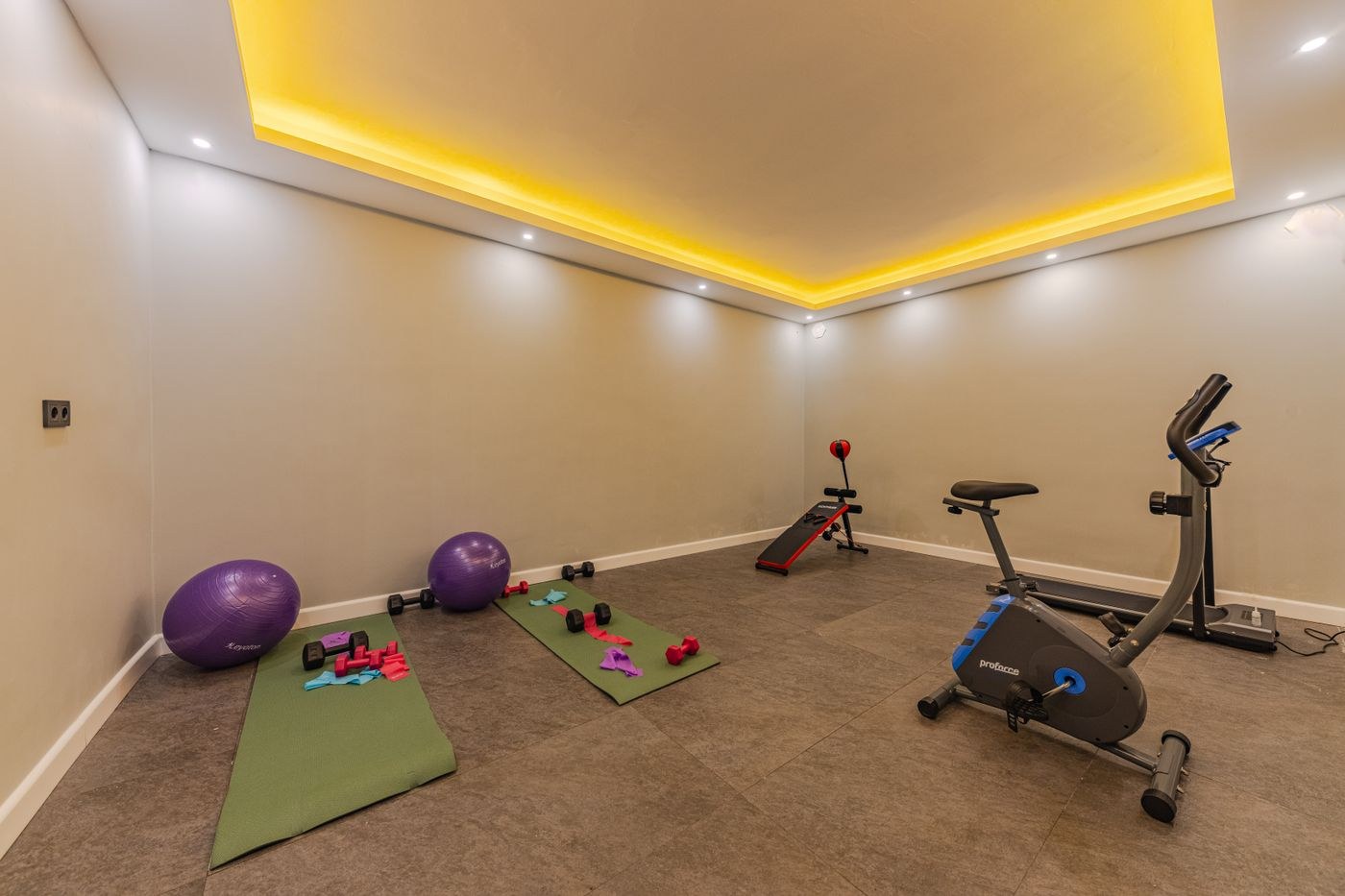 An indoor exercise room with mats and clear floor space between equipment.